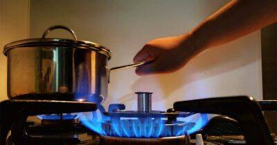 В Донецкой области могут возобновить газоснабжение (фото)