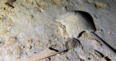 На Филиппинах нашли скелет доисторического человека из последнего ледникового периода (фото)