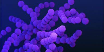 В США изобрели лекарство против 300 устойчивых к антибиотикам бактерий