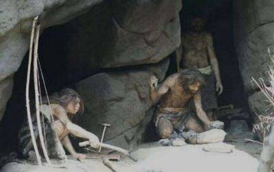 Ключову різницю між мозком сучасної людини та неандертальця виявили антропологи