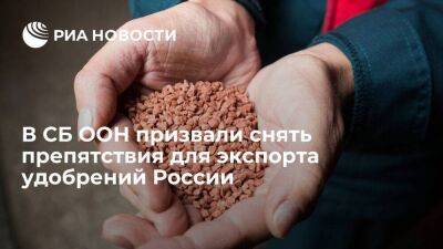 Некоторые представители в СБ ООН призвали снять препятствия для экспорта удобрений России