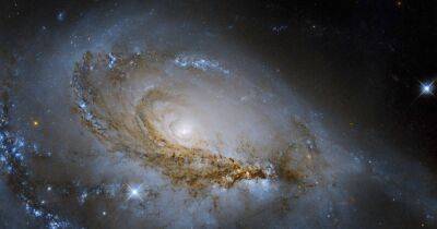 Космический телескоп Хаббл сделал снимок, возможно, самой красивой спиральной галактики (фото)