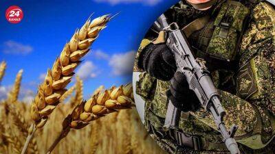 Масштабы огромны: спутниковые данные показывают, сколько украинского зерна уничтожила россия