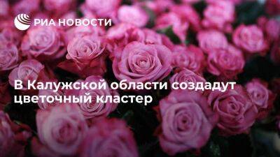 В Калужской области создадут кластер по производству цветочной продукции