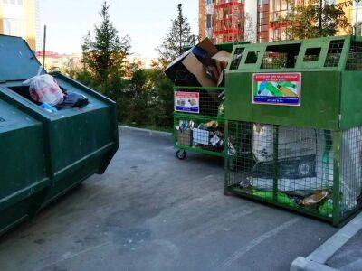 Россиянам разъяснили, какую бумагу можно выбрасывать в контейнеры для переработки