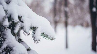 В Украине резко изменится погода: в горах – первый снег, а на остальной территории – мощный ветер