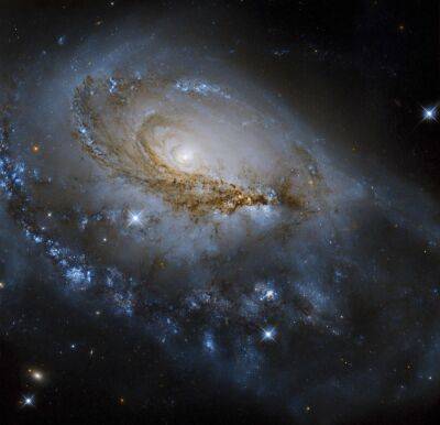 Hubble сделал яркий кадр спиральной галактики в созвездии Жираф (ФОТО)