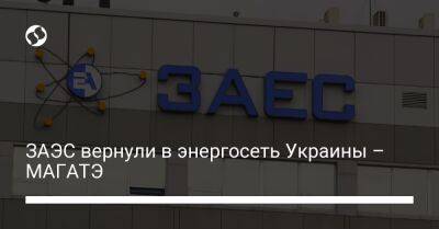 ЗАЭС вернули в энергосеть Украины – МАГАТЭ