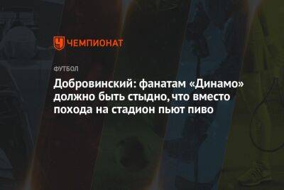 Добровинский: фанатам «Динамо» должно быть стыдно, что вместо похода на стадион пьют пиво