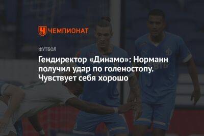 Гендиректор «Динамо»: Норманн получил удар по голеностопу. Чувствует себя хорошо