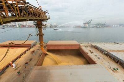 Сегодня из Украины на экспорт отправят 10 судов с зерном