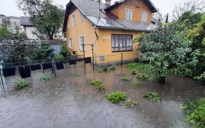 Падали деревья, дождевой водой затопило дворы: в Ивано-Франковске бушевала непогода (ФОТО)