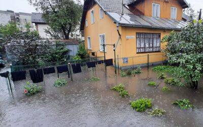 Подтопленные дома и поваленные деревья. Ивано-Франковск накрыла непогода