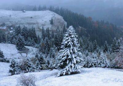 Зима уже близко: в Украине выпал первый снег – эффектные кадры