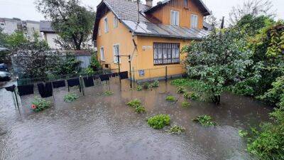 Мощный ливень накрыл Ивано-Франковск: затоплены дома, повалены деревья