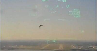 Самолет ВМС США столкнулся с птицей и упал на дом: появилось новое видео