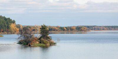 Мониторинг поверхностных вод в Беларуси проводят почти в 300 пунктах