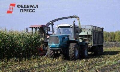 Бурков: омские фермеры помогут с кормами хозяйствам, пострадавшим от засухи