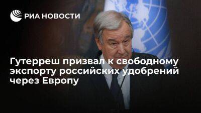 Генсек ООН Гутерреш призвал обеспечить свободный экспорт российских удобрений через Европу