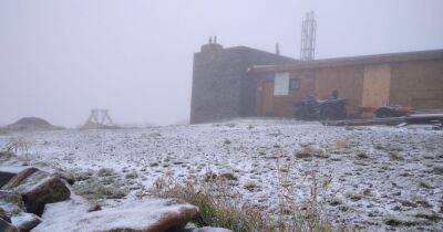 В Карпатах на горе Поп Иван пошел снег (фото, видео)