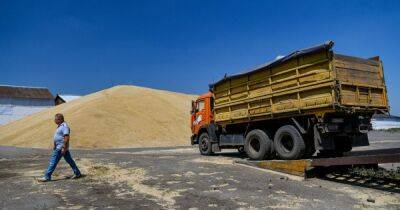Дефицит не грозит? Хватит ли украинцам пшеницы в 2023 году