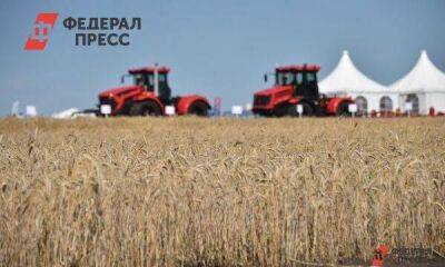 Красноярские аграрии собрали рекордное количество зерна