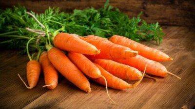 Правда ли, что нельзя есть много моркови: отвечает диетолог