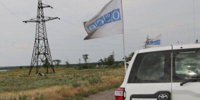 В «ЛНР» сотрудника ОБСЕ «приговорили» к 13 годам тюрьмы