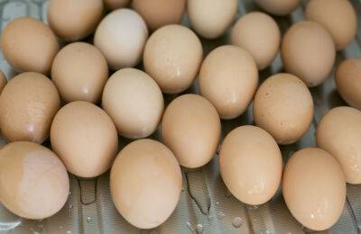 Яйца в Украине за месяц подорожали на 6 гривен – СМИ