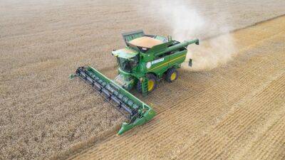 В Тверской области собрали рекордный урожай озимой пшеницы