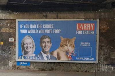 Предвыборные плакаты с котом из резиденции Даунинг-стрит Ларри