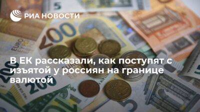 РБК: в ЕК оставили за странами ЕС право распоряжаться изъятой у россиян на границе валютой