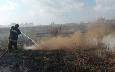 На Киевщине ликвидировали четыре очага возгорания торфяников