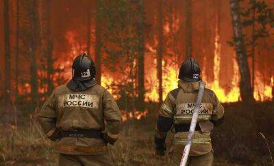 В Кремле прокомментировали лесные пожары в России