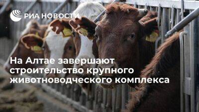 В Алтайском крае завершают строительство крупного животноводческого комплекса