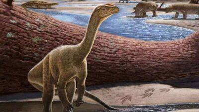 Археологи виявили динозавра, який жив понад 230 мільйонів років тому