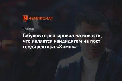 Габулов отреагировал на новость, что является кандидатом на пост гендиректора «Химок»
