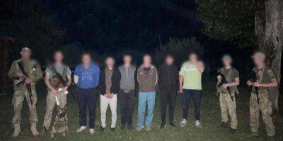 Притворялись грибниками. Пограничники на Закарпатье поймали шестерых закононарушителей, пытавшихся перейти границу с Румынией