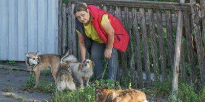 Собак, кошек, птицу и три белки. Переселенка из Донбасса перевезла в Черкасскую область более 40 домашних любимцев
