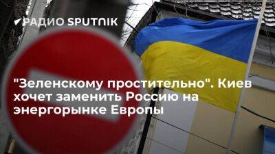 "Зеленскому простительно". Киев хочет заменить Россию на энергорынке Европы