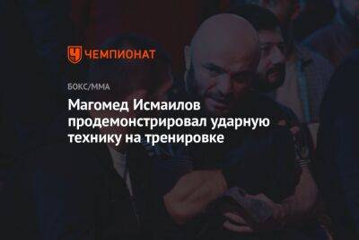 Магомед Исмаилов продемонстрировал ударную технику на тренировке