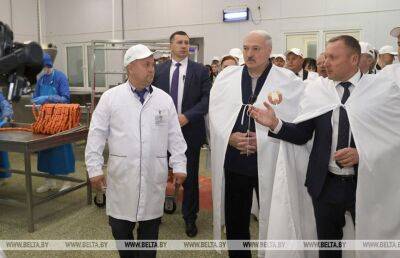 Сельское хозяйство – в центре внимания. Итоги рабочей поездки Лукашенко в Крупский район