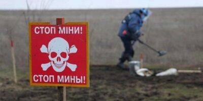 В Житомирской области на мине подорвалась лесная охрана