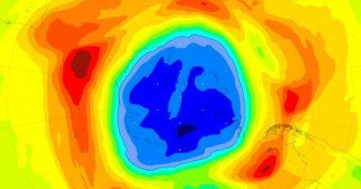 Озоновая дыра уменьшилась вдвое, но этого недостаточно. Ученые рассказали, что нас ждет - focus.ua - Украина - Антарктида