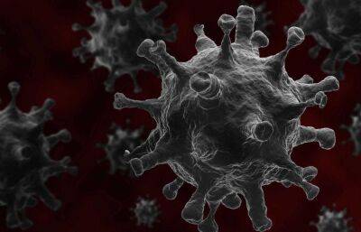 Свыше 300 человек заболели коронавирусом в Тверской области за сутки