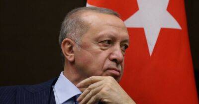 Эрдоган: захваченные Россией территории будут возвращены Украине
