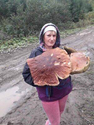 Женщина в снегу в Карпатах нашла гигантский гриб (ФОТО)