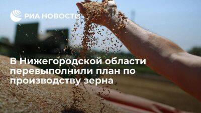 В Нижегородской области перевыполнили план по производству зерна на 20 процентов