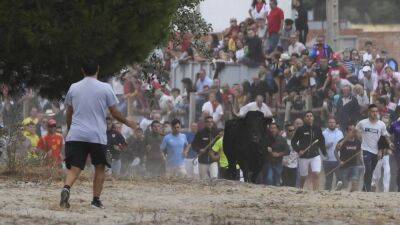 Забеги быков в Испании: быть или не быть?