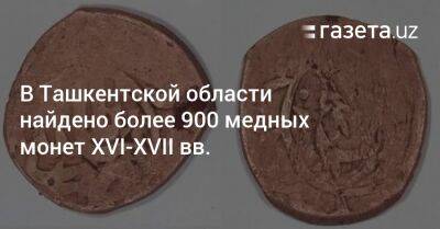 В Ташкентской области найдено более 900 медных монет XVI—XVII вв.